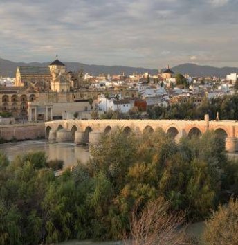 Puente Romano. Córdoba